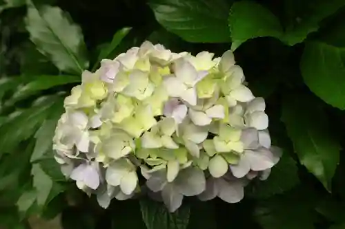 報国寺(神奈川県)