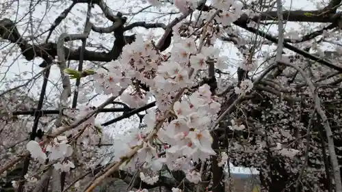 道成寺の自然