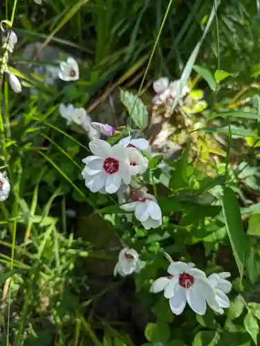 惠心院(京都府)