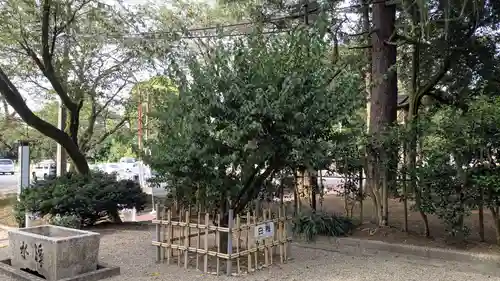 高岡市護国神社の自然