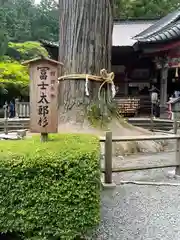 北口本宮冨士浅間神社の建物その他