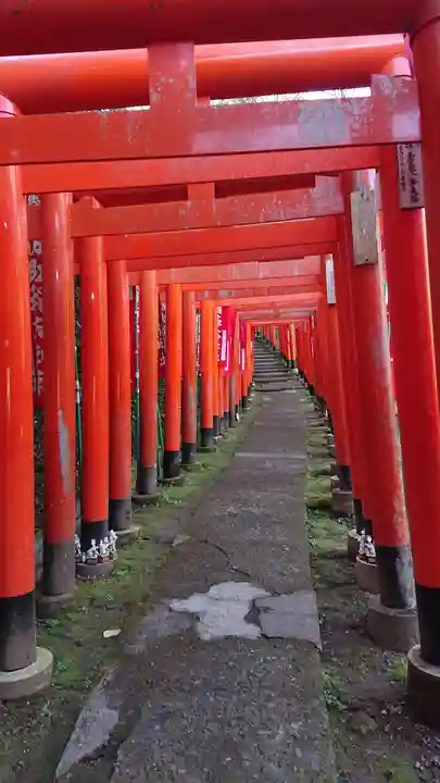 佐助稲荷神社の鳥居