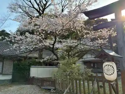 忌部神社(徳島県)