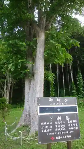 北湯沢三峯神社の自然