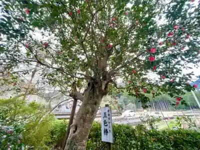 浄得寺(三重県)