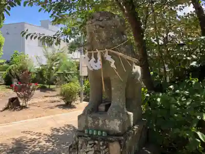 鴨島八幡神社の狛犬
