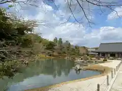 天龍寺の庭園