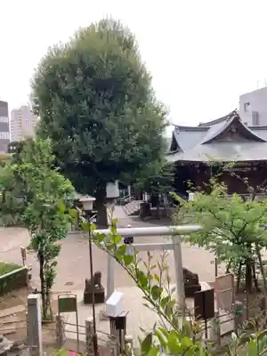 千駄ヶ谷冨士浅間神社(東京都)