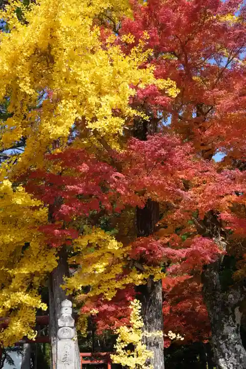 高野山金剛峯寺奥の院(和歌山県)