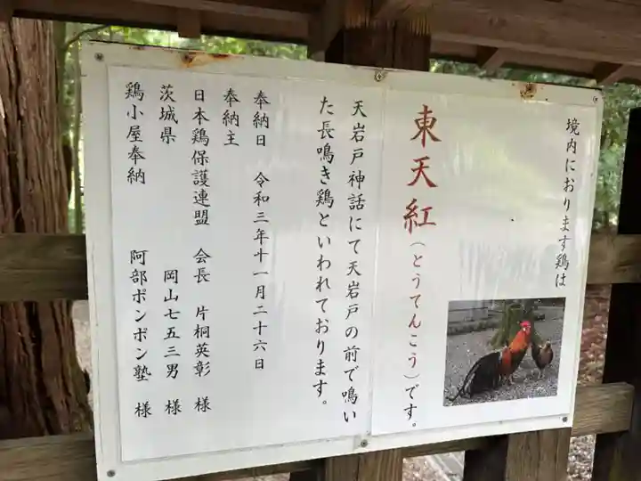 天岩戸神社(宮崎県)