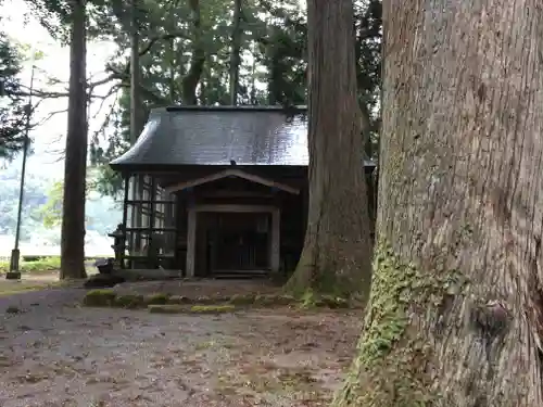 八幡神社(樺八幡神社)の本殿