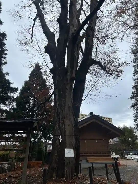 住吉神社(岩手県)