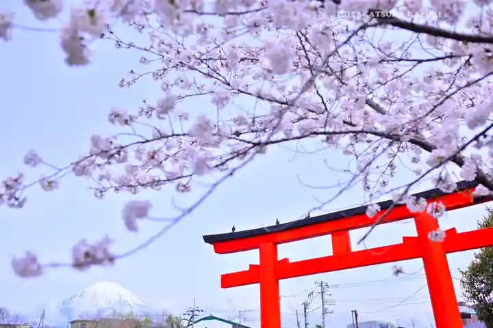 富士山本宮浅間大社(静岡県)