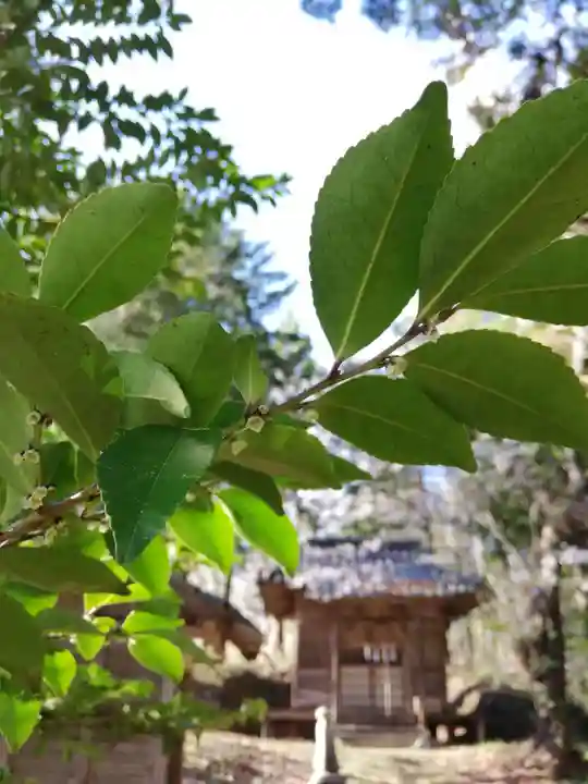 八幡神社(福島県)