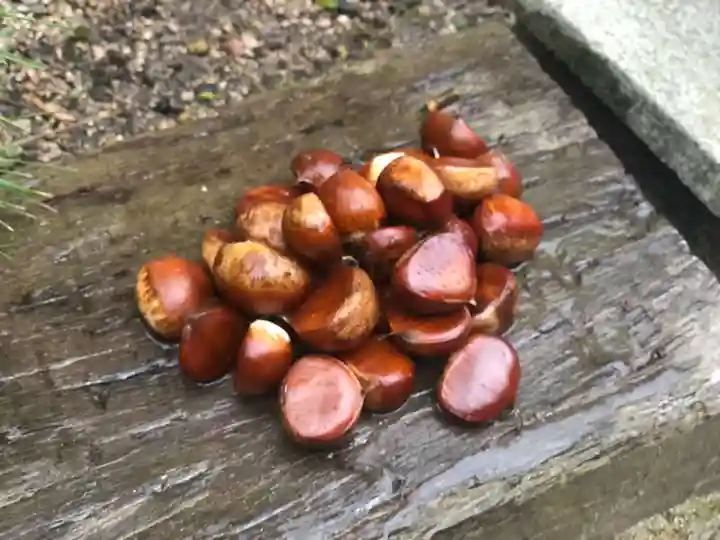 木舟山 順教寺(広島県)