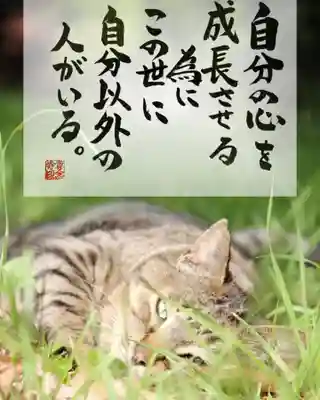 専念寺(大阪府)