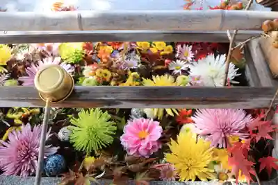 豊景神社の手水舎