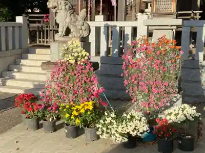 旭鎮守八幡神社の本殿・本堂