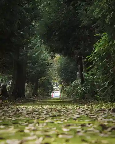 結城諏訪神社(茨城県)