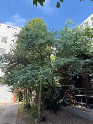 蔵前神社(東京都)