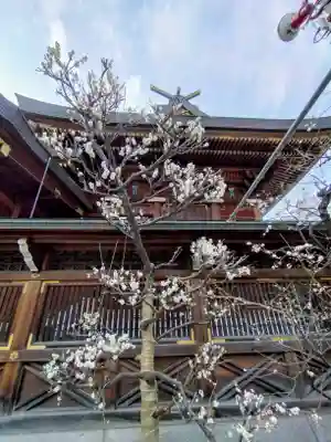 湯島天満宮(東京都)