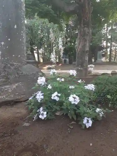 伏木香取神社の自然