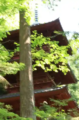 榛名神社の{uncategorized: "未分類", other: "その他", undefined: "問題あり", building: "その他建物", grave: "お墓", sacred_gate: "鳥居", guardian: "狛犬", statue: "像", buddha: "仏像", history: "歴史", nature: "自然", garden: "庭園", animal: "動物", pagoda: "塔", temizu: "手水舎", mountain_gate: "山門・神門", sanctuary: "本殿・本堂", subordinate: "末社・摂社", art: "芸術", scenery: "景色", jizo: "地蔵", ema: "絵馬", goshuin: "御朱印", omikuji: "おみくじ", items: "授与品その他", amulet: "お守り", goshuincho: "御朱印帳", eats: "食事", festival: "お祭り", votive_dance: "神楽", shichigosan: "七五三参", wedding: "結婚式", experience: "体験その他", initially: "初詣", around: "周辺", anti_infection: "感染症対策"}