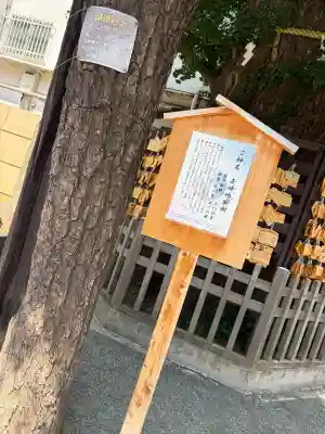 天祖神社の{uncategorized: "未分類", other: "その他", undefined: "問題あり", building: "その他建物", grave: "お墓", sacred_gate: "鳥居", guardian: "狛犬", statue: "像", buddha: "仏像", history: "歴史", nature: "自然", garden: "庭園", animal: "動物", pagoda: "塔", temizu: "手水舎", mountain_gate: "山門・神門", sanctuary: "本殿・本堂", subordinate: "末社・摂社", art: "芸術", scenery: "景色", jizo: "地蔵", ema: "絵馬", goshuin: "御朱印", omikuji: "おみくじ", items: "授与品その他", amulet: "お守り", goshuincho: "御朱印帳", eats: "食事", festival: "お祭り", votive_dance: "神楽", shichigosan: "七五三参", wedding: "結婚式", experience: "体験その他", initially: "初詣", around: "周辺", anti_infection: "感染症対策"}