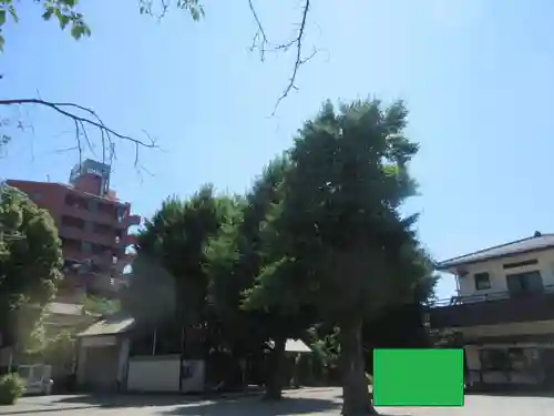 若宮八幡宮 (神奈川県)