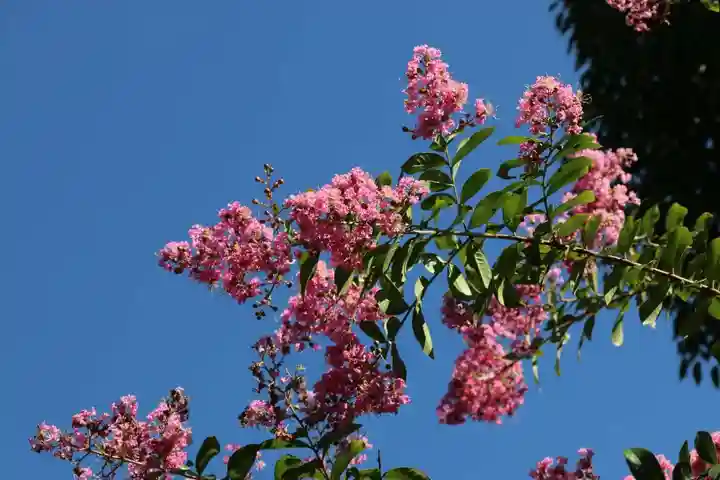 梁川天神社の庭園