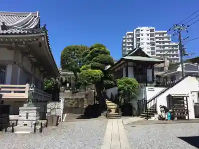 金乗院(目白不動尊)の本殿・本堂