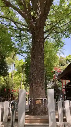田無神社(東京都)