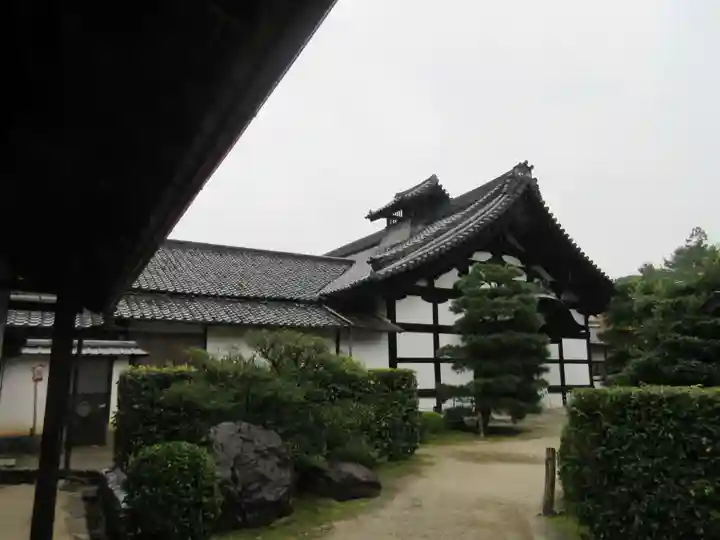 隨心院(随心院)の本殿・本堂