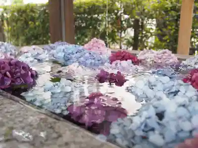 桜神宮(東京都)