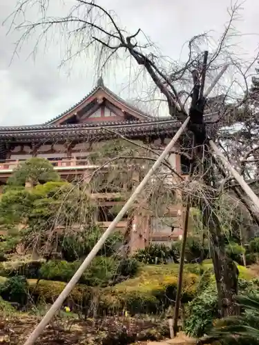 東長谷寺　薬王院(東京都)