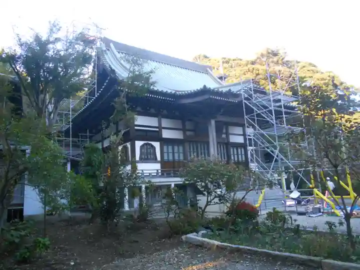 妙伝寺(妙傳寺)の本殿・本堂