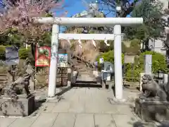 鳩森八幡神社(東京都)