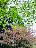 土津神社|こどもと出世の神さまの自然