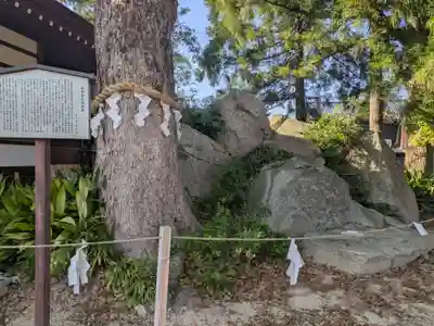 和貴宮神社(京都府)