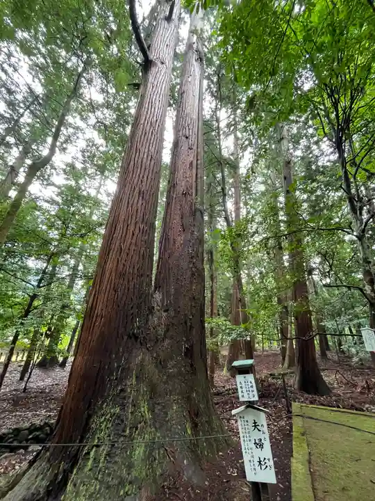 若狭彦神社(上社)(福井県)