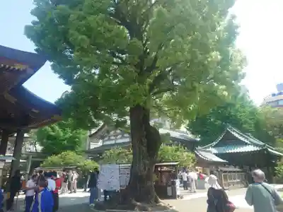 湯島天満宮(東京都)