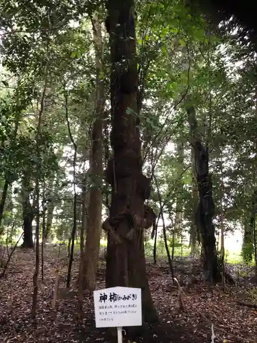 積田神社の自然