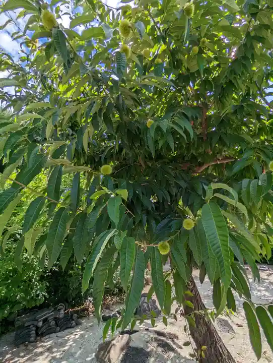 源光寺(京都府)