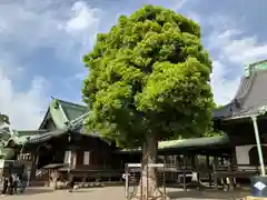 題経寺（柴又帝釈天）(東京都)