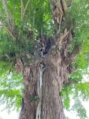 普賢寺(福島県)