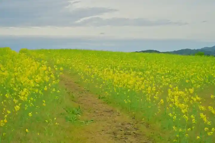 沢山神社(澤山神社)(新潟県)