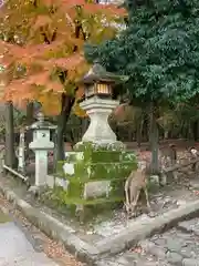 春日大社の建物その他