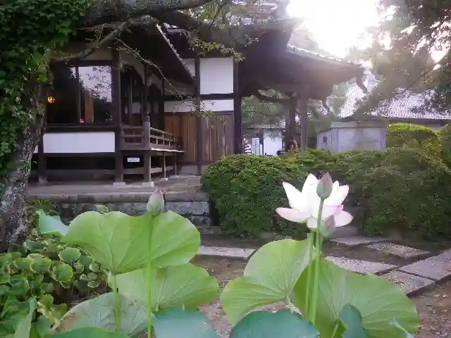 安養院 (田代寺)の自然