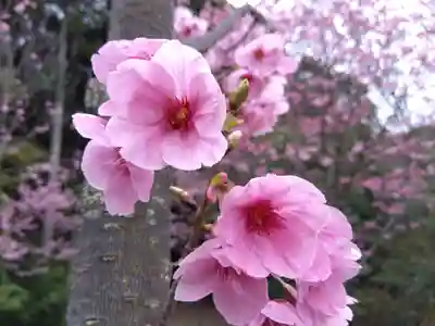 熊野若王子神社(京都府)