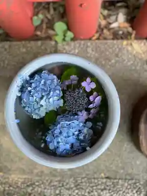 川越八幡宮(埼玉県)